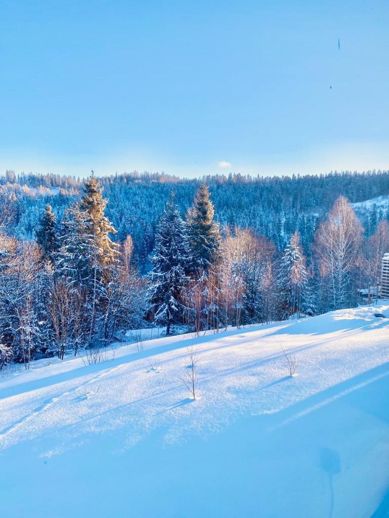Mount Hotel Slavske Exterior foto